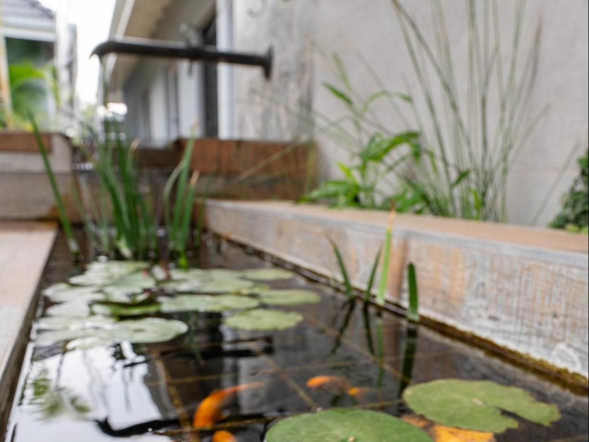 Familia Guesthouse & Boutique Hotel Groblersdal Bagian luar foto